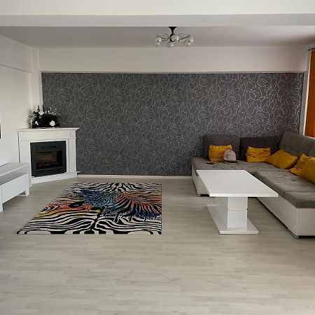 Panoramic M&M Apartment Suceava Exteriör bild